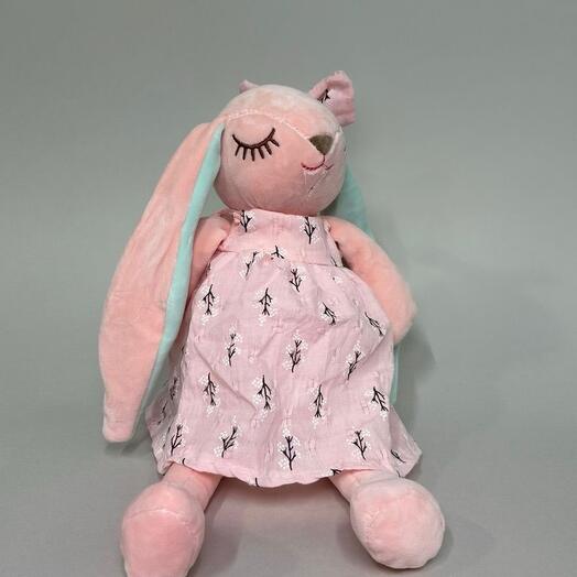 Зайка сплюшка