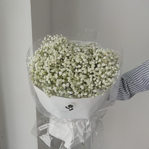 Облако нежной гипсофилы