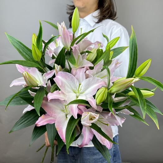 Монобукет "Безграничность нежности" из 5 розовых лилий
