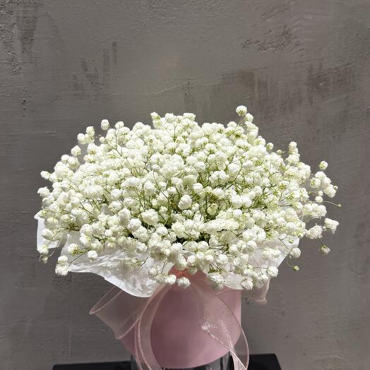 Гипсофила в коробке