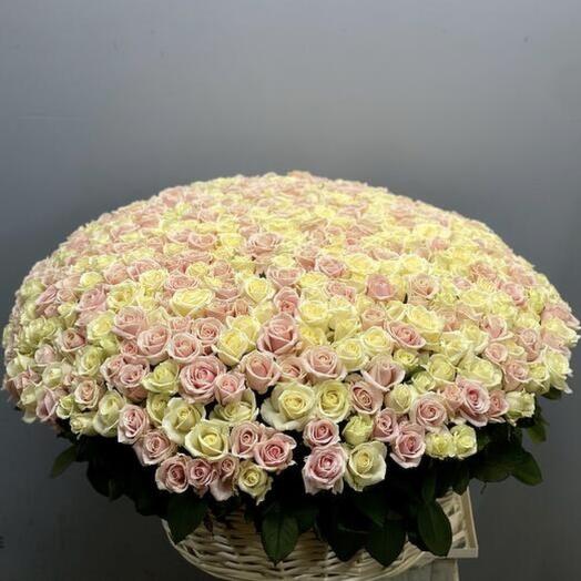 201 Роза в корзине