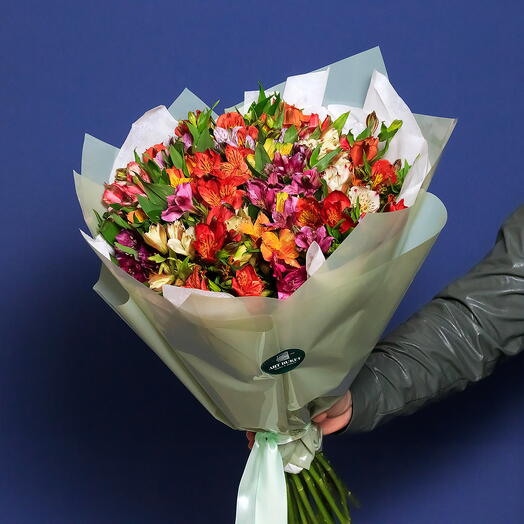 35 альстромерий