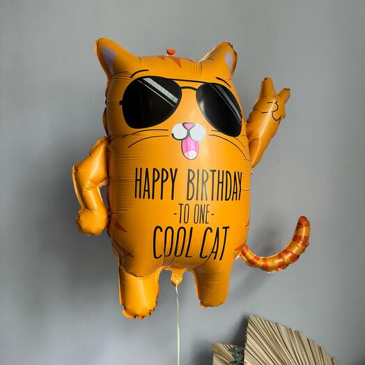 Шар Крутой кот/Cool cat для парня/мужчины/мальчика
