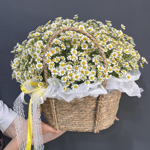 Корзина с ромашками