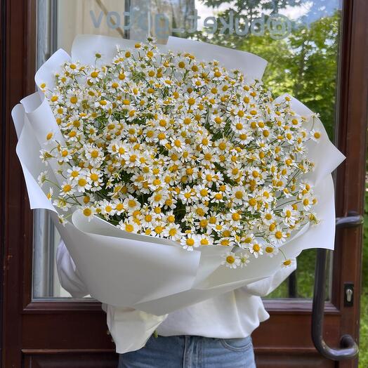 Моно букет с ромашками