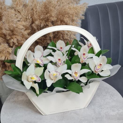 Композиция из белых орхидей в ящике