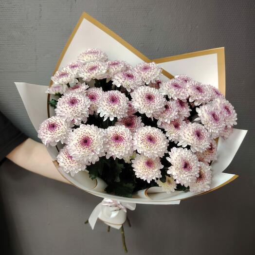 5 Bush Chrysanthemums Lollipop