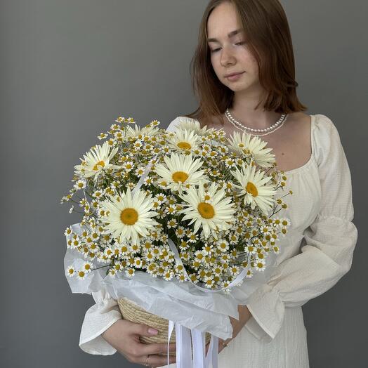 Корзина из крупных садовых ромашек и матрикарии