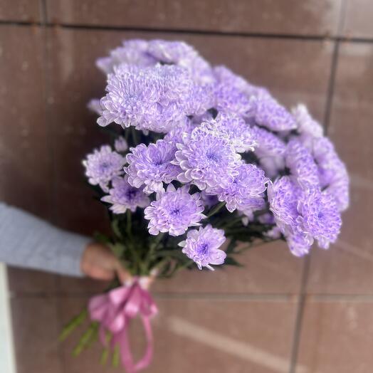11 кустовых хризантем под лентой 💟