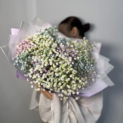 Радужная гипсофила 💜