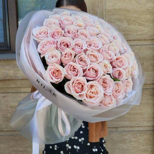 Mono Blush Rose 51