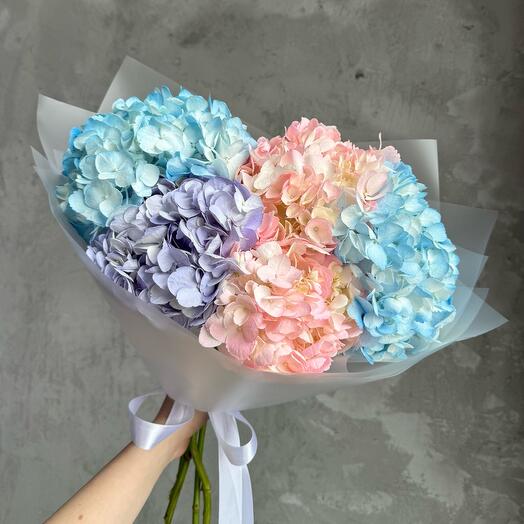 Микс гортензий 5 шт