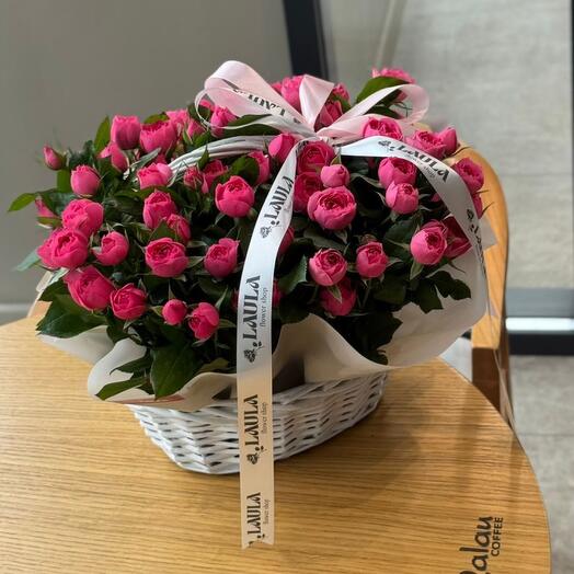 Софи бейби в корзине