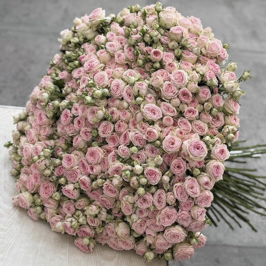 Premium Pink Spray Roses