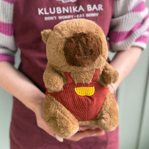 Мягкая игрушка Капибара 20 см в ассортименте