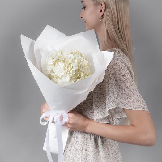 Букет из белой гортензии