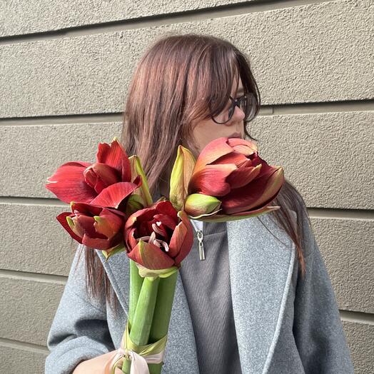 Букет из амариллисов