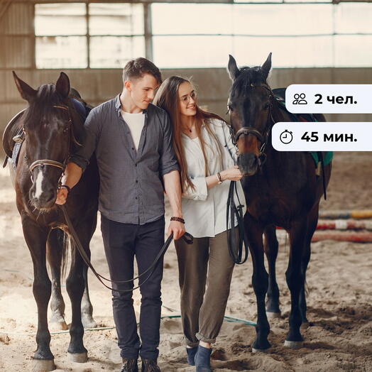 Лошадиные истории. Конная прогулка