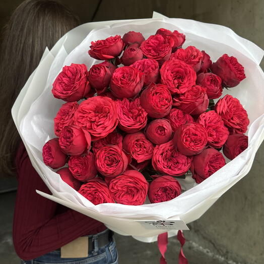 Red peony roses