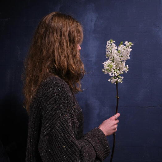 Белоснежная сирень - прямиком из майского сада