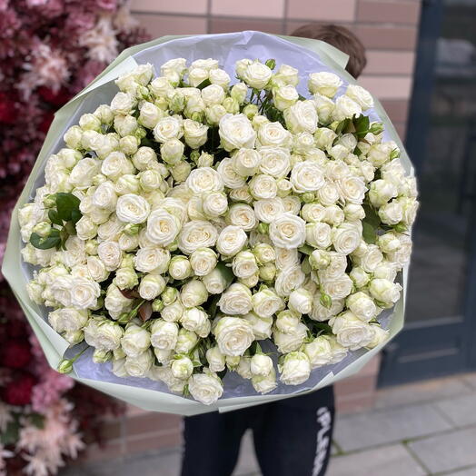 Монобукет из 51 кустовой пионовидной белой розы
