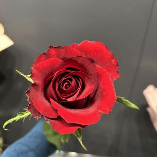 Роза Red