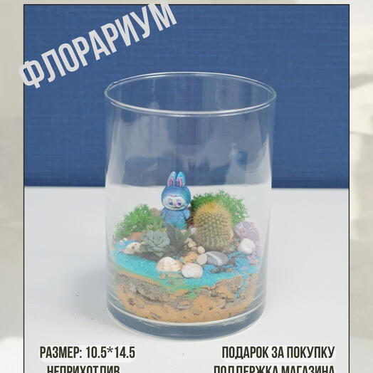 Флорариум странник на прогулке