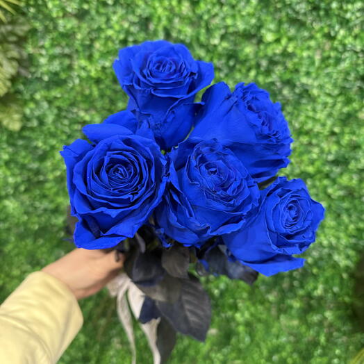 Розы синие 5 штук 💙😍
