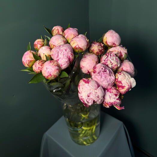 🌺Пионы Сара бернар в вазу 20шт
