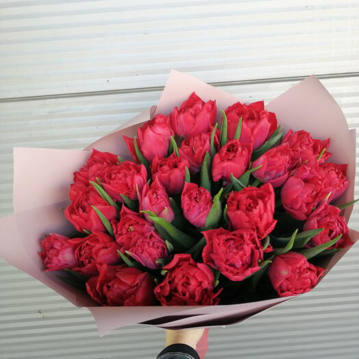 25 пионовидных тюльпанов