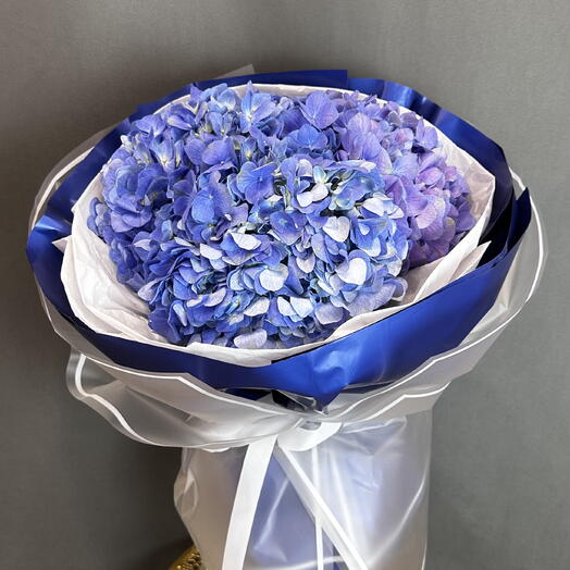 Гортензия Колумбия