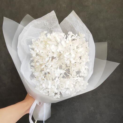 Белая стабилизированная гортензия 🤍