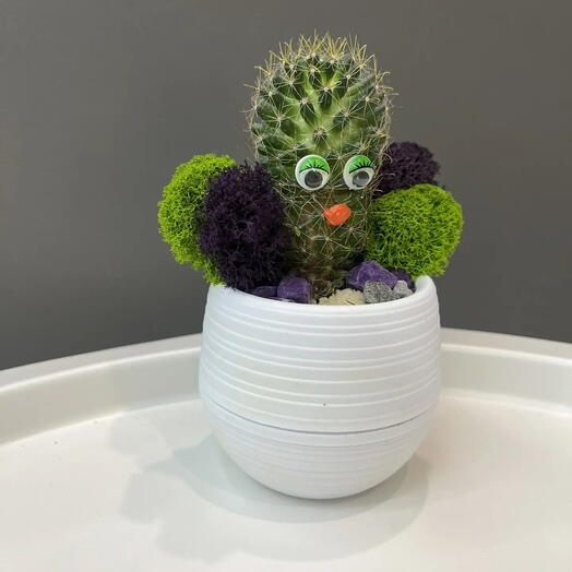 Кактус 🌵 девочка