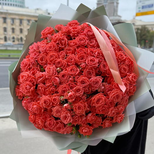 Кустовые розы коралловые 51шт