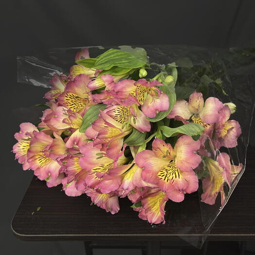 Пачка 10 шт, Альстромерии Энерджи, 80 см