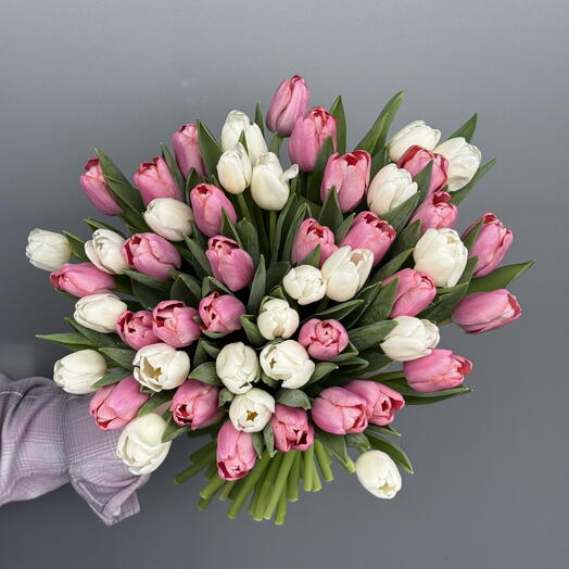 Pink and White Tulips 50 stems