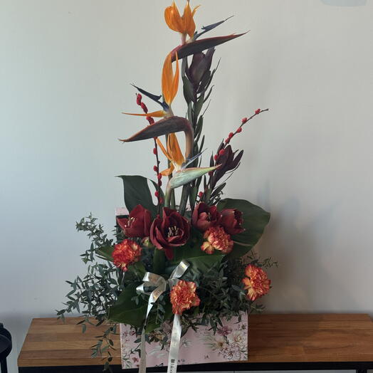 Bird of paradise box