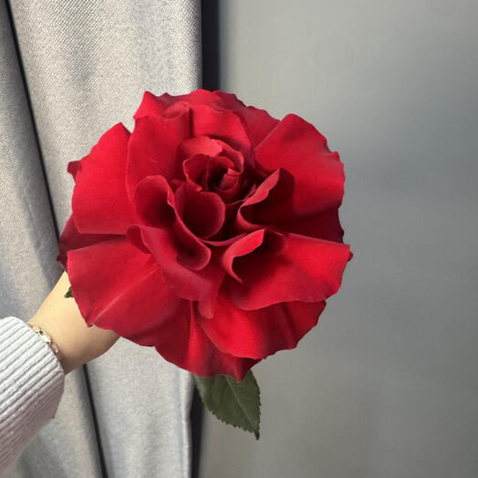 Роза красная ажурная