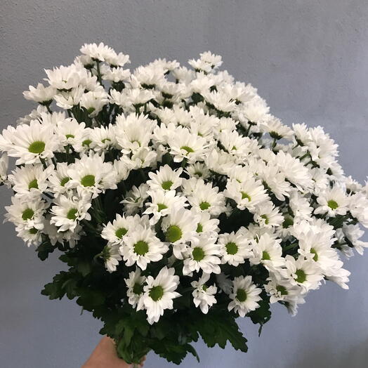 Ромашечки