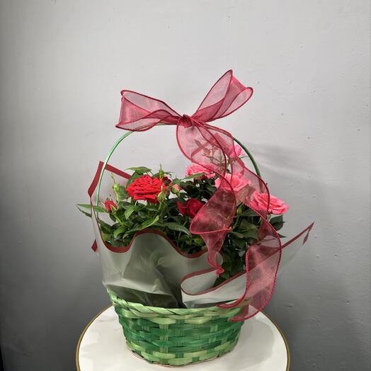 Розы микс в корзине + бант 🎀+ подарочная упаковка 🎁