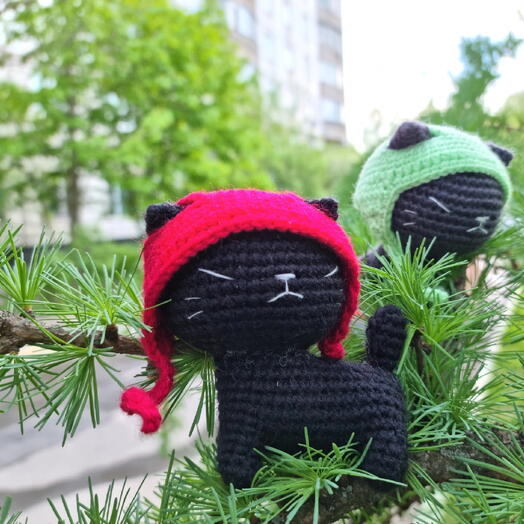 Недовольный котик в шапочке