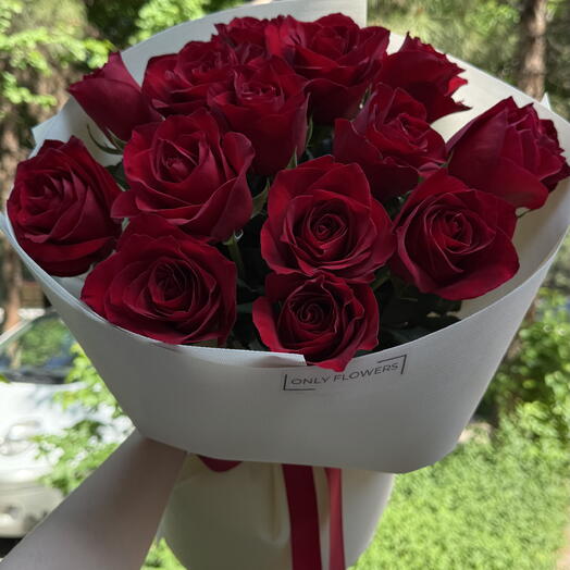 Красные розы 🌹