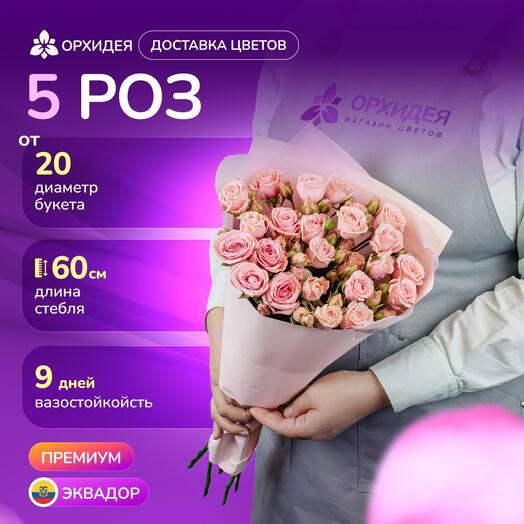 5 кустовых роз Вега