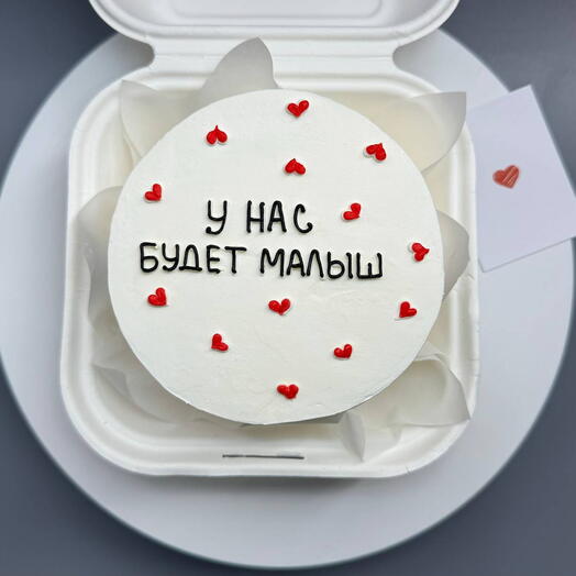 Бенто-торт сообщение о беременности "У нас будет малыш" 400 гр