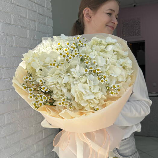Воздушная гортензия