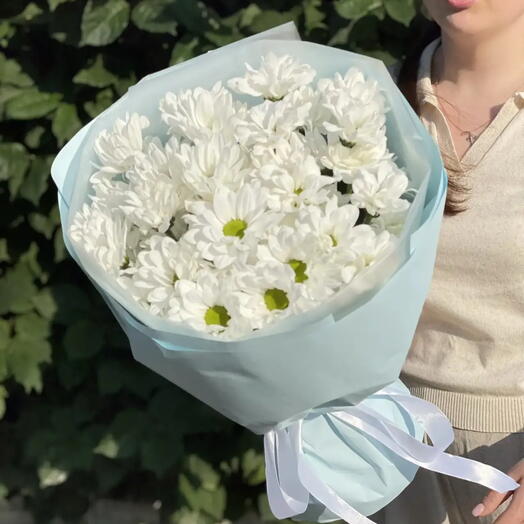 Ромашки для милашки