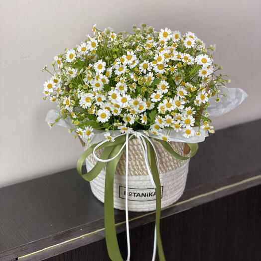 Корзина с ромашками