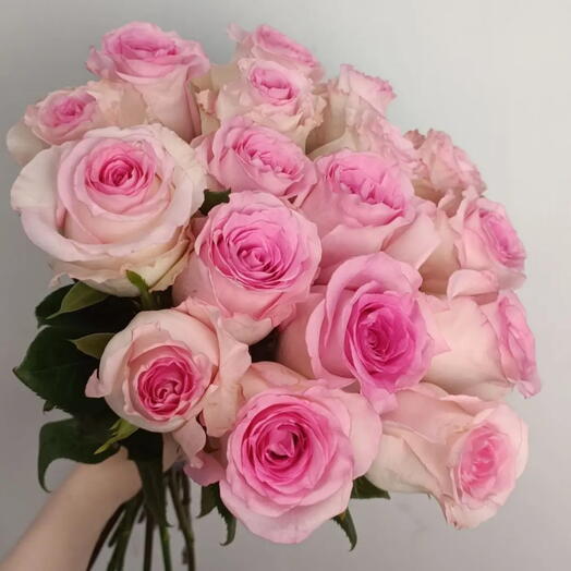 Розовые розы фея 17 шт