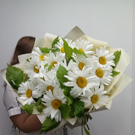 Букет ромашек больших в упаковке
