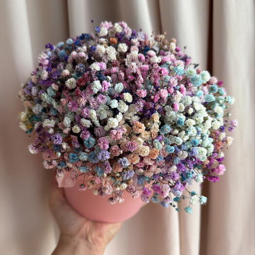 Коробка с цветной гипсофилой S 🌸